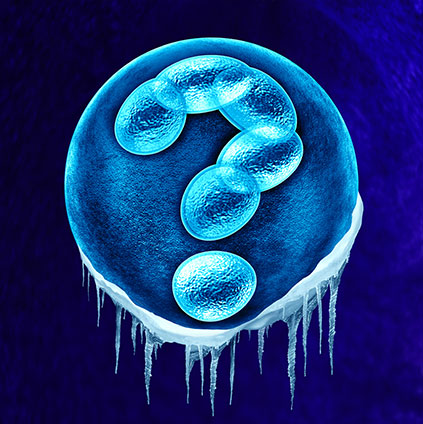 Microscopic illustration of frozen embryos under cryopreservation, representing the process of thawing and transferring embryos during IVF treatment